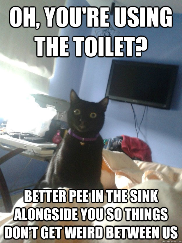 oh, you're using the toilet? better pee in the sink alongside you so things don't get weird between us  overly attached cat