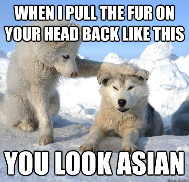 when i pull the fur on your head back like this you look asian  Caring Husky