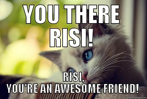 HELLO FRIEND - YOU THERE RISI!  RISI, YOU'RE AN AWESOME FRIEND! First World Problems Cat