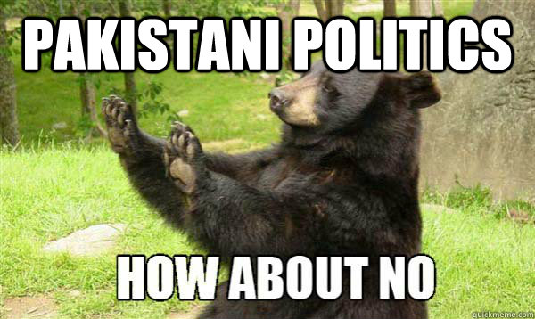 PAKISTANI POLITICS   How about no bear