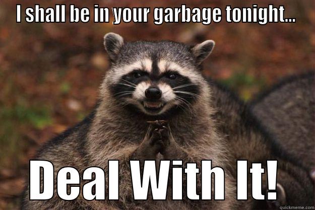 I SHALL BE IN YOUR GARBAGE TONIGHT... DEAL WITH IT! Evil Plotting Raccoon