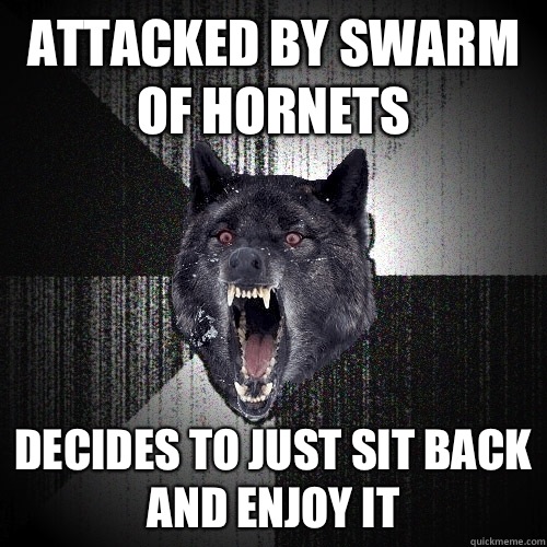 attacked by swarm of hornets decides to just sit back and enjoy it  Insanity Wolf