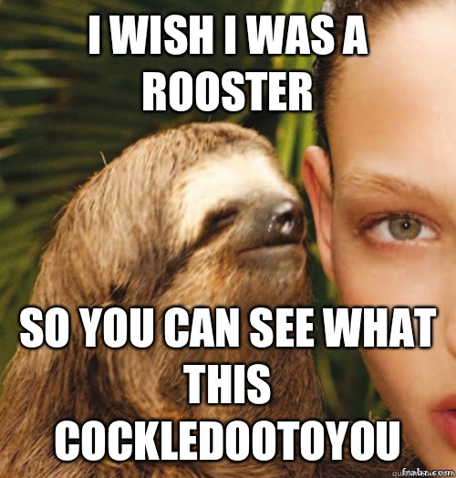 I wish I was a rooster So you can see what this cockledootoyou  rape sloth