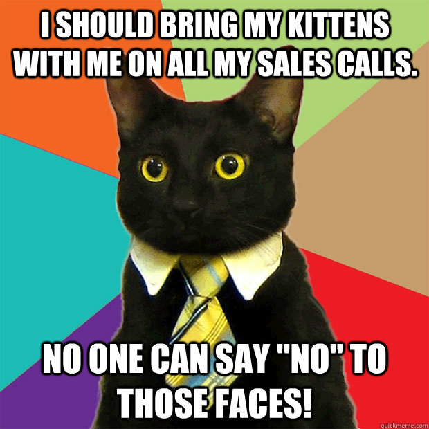 I should bring my kittens with me on all my sales calls. No one can say 