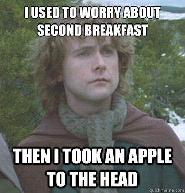 i used to worry about second breakfast then i took an apple to the head - i used to worry about second breakfast then i took an apple to the head  Misc