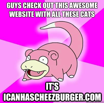 Guys check out this awesome website with all these cats It's icanhascheezburger.com  Slowpoke