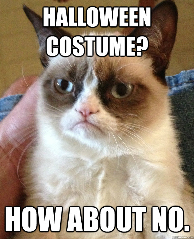 halloween costume? how about no.  Grumpy Cat