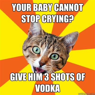 your baby cannot stop crying? Give him 3 shots of vodka  Bad Advice Cat