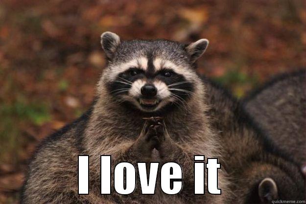  I LOVE IT Evil Plotting Raccoon