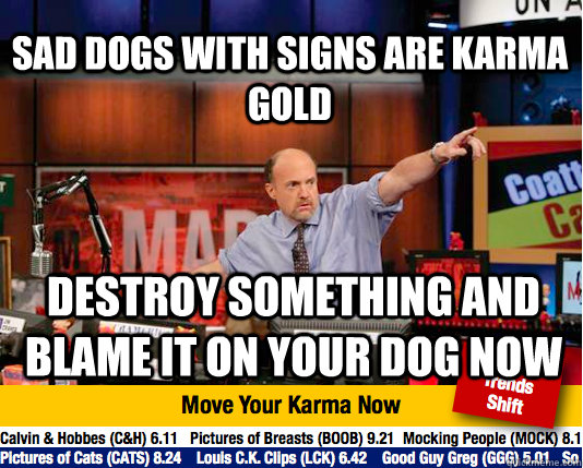 sad Dogs with signs are karma gold destroy something and blame it on your dog now  Mad Karma with Jim Cramer