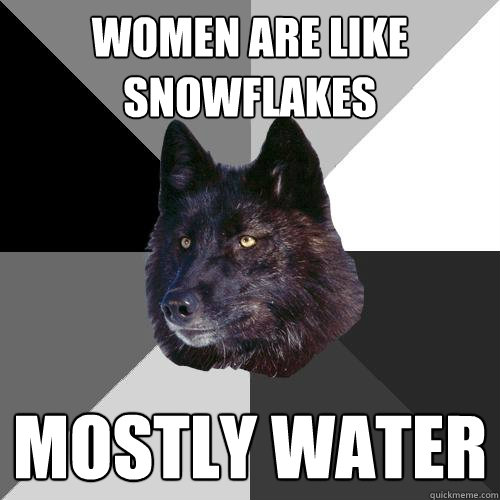 women are like snowflakes mostly water  Sanity Wolf