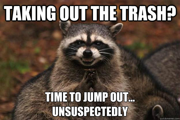 Taking out the trash? Time to jump out...
Unsuspectedly  Evil Plotting Raccoon