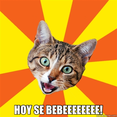  HOY SE BEBEEEEEEEE!  Bad Advice Cat