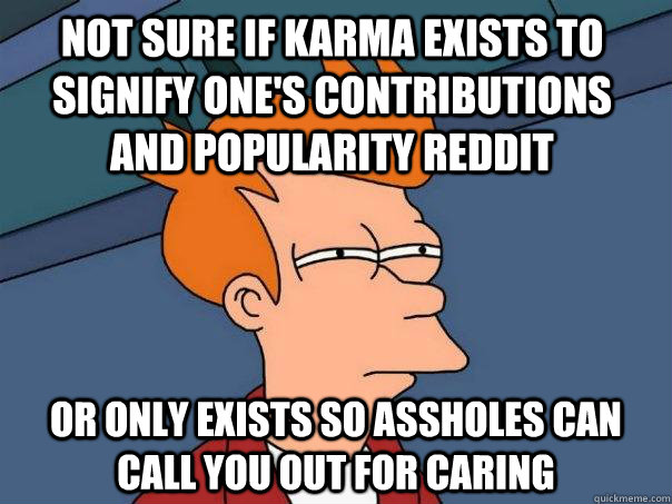 Not sure if karma exists to signify one's contributions and popularity reddit or only exists so assholes can call you out for caring - Not sure if karma exists to signify one's contributions and popularity reddit or only exists so assholes can call you out for caring  Futurama Fry