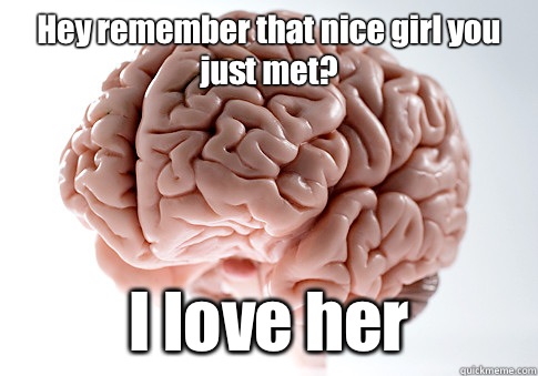 Hey remember that nice girl you just met? I love her  Scumbag Brain