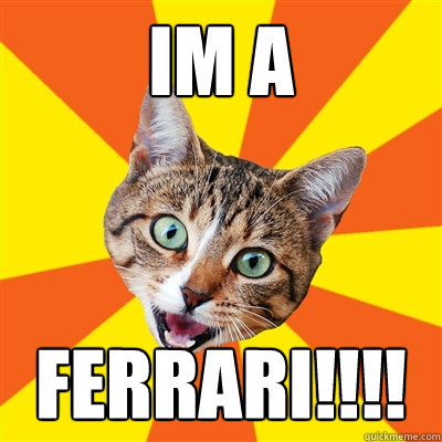 IM A FERRARI!!!! - IM A FERRARI!!!!  Bad Advice Cat