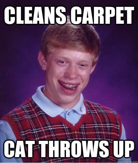 Cleans carpet Cat throws up  Bad Luck Brian