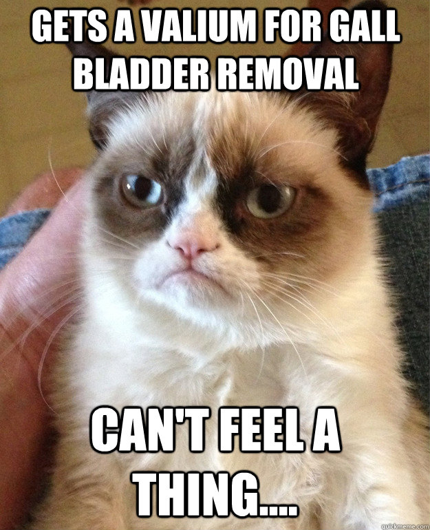 gets a valium for gall bladder removal can't feel a thing....  Grumpy Cat