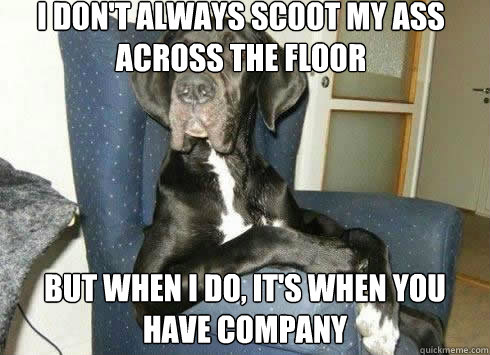 I don't always scoot my ass across the floor but when i do, it's when you have company  The Most Interesting Dog in the World