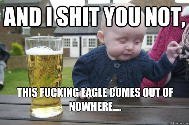 and i shit you not, this fucking EAGLE comes out of nowhere....  drunk baby