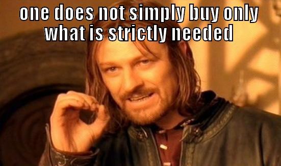 ONE DOES NOT SIMPLY BUY ONLY WHAT IS STRICTLY NEEDED  Boromir