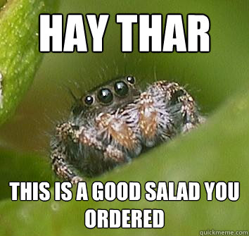 HAY THAR this is a good salad you ordered  Misunderstood Spider