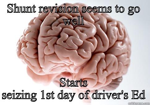 SHUNT REVISION SEEMS TO GO WELL STARTS SEIZING 1ST DAY OF DRIVER'S ED Scumbag Brain