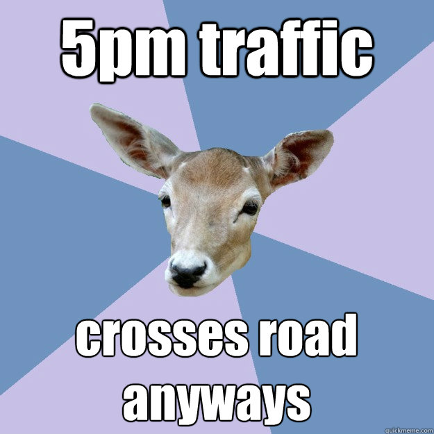 5pm traffic crosses road anyways  