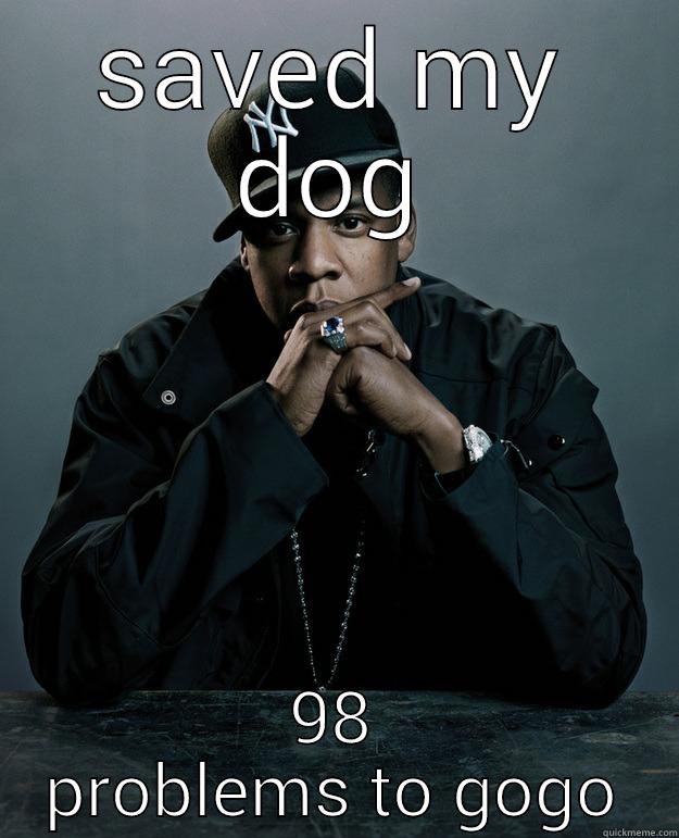 SAVED MY DOG 98 PROBLEMS TO GO Jay Z Problems