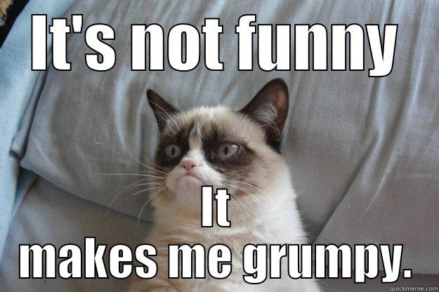 IT'S NOT FUNNY IT MAKES ME GRUMPY. Grumpy Cat