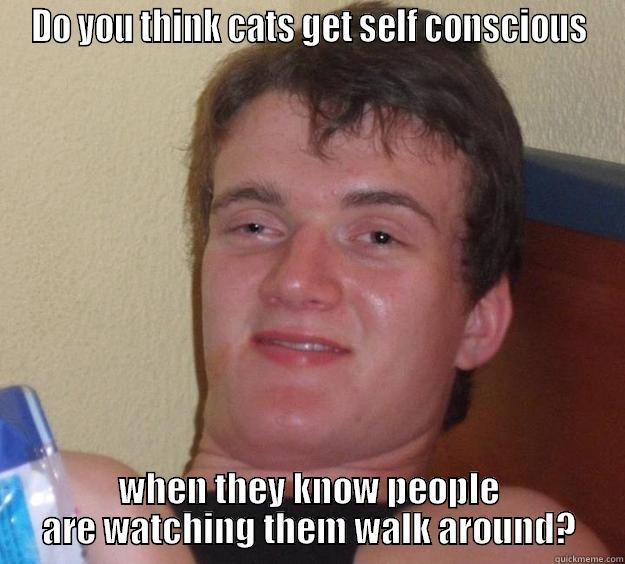 Self conscious cats - DO YOU THINK CATS GET SELF CONSCIOUS WHEN THEY KNOW PEOPLE ARE WATCHING THEM WALK AROUND? 10 Guy