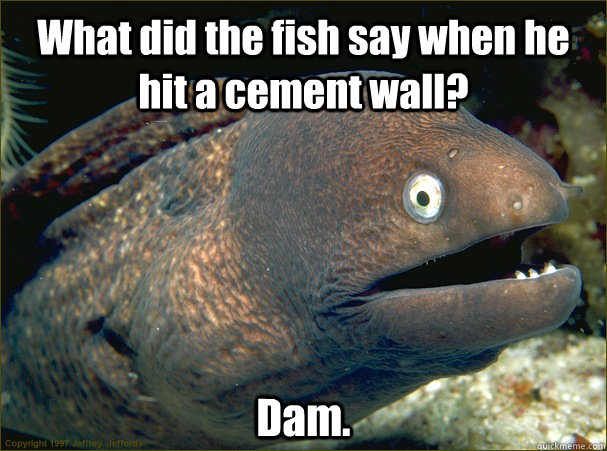 What did the fish say when he hit a cement wall? Dam. - What did the fish say when he hit a cement wall? Dam.  Bad Joke Eel