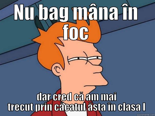 NU BAG MÂNA ÎN FOC DAR CRED CĂ AM MAI TRECUT PRIN CĂCATUL ĂSTA ÎN CLASA I Futurama Fry