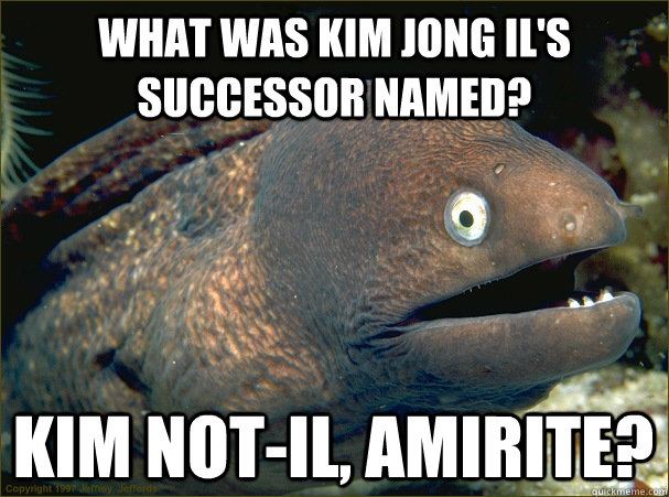 what was kim jong il's successor named? Kim Not-il, amirite?  Bad Joke Eel