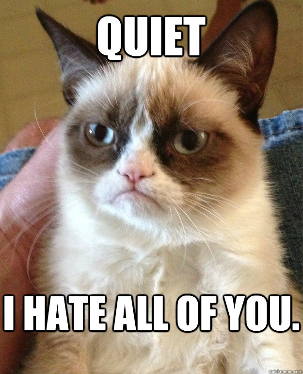 quiet I hate all of you.  Grumpy Cat