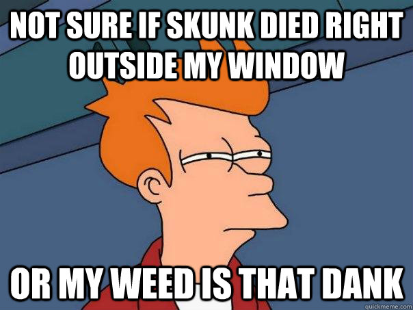 Not sure if skunk died right outside my window Or my weed is that dank  Futurama Fry