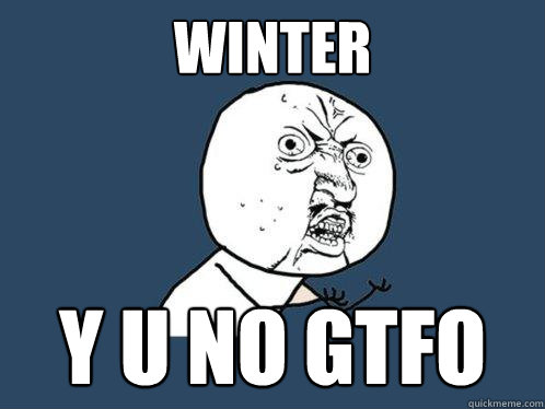 Winter y u no gtfo  Y U No