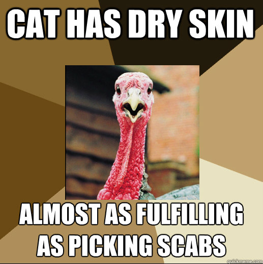 cat has dry skin almost as fulfilling as picking scabs - cat has dry skin almost as fulfilling as picking scabs  Quirky Turkey