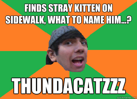 Finds stray kitten on sidewalk, what to name him...? thundacatzzz - Finds stray kitten on sidewalk, what to name him...? thundacatzzz  For-real Nikhil