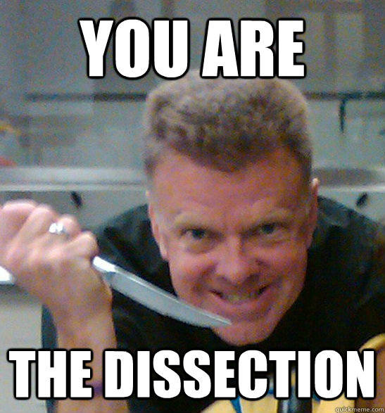 You are the dissection  - You are the dissection   Steggs