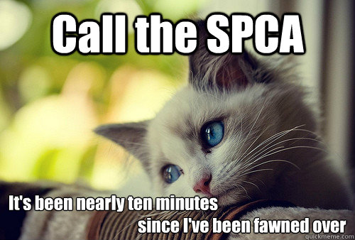 Call the SPCA It's been nearly ten minutes 
                                        since I've been fawned over  First World Problems Cat