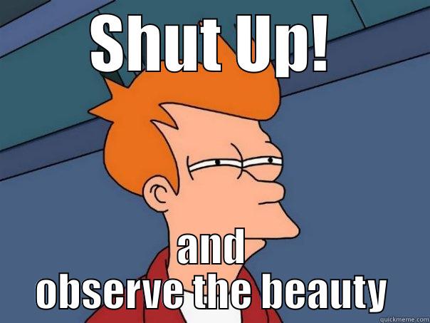 SHUT UP! AND OBSERVE THE BEAUTY Futurama Fry