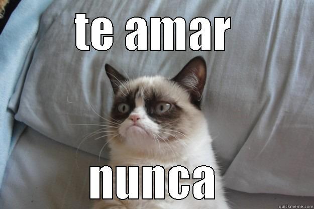 TE AMAR NUNCA Grumpy Cat