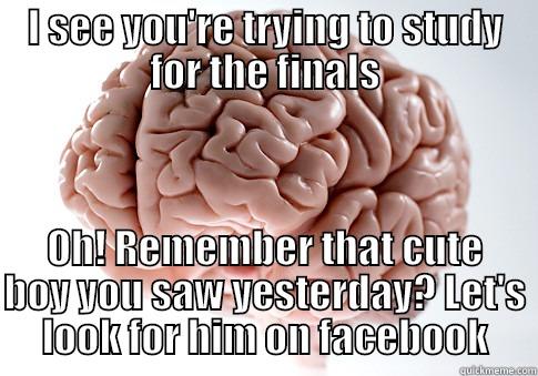 I SEE YOU'RE TRYING TO STUDY FOR THE FINALS OH! REMEMBER THAT CUTE BOY YOU SAW YESTERDAY? LET'S LOOK FOR HIM ON FACEBOOK Scumbag Brain