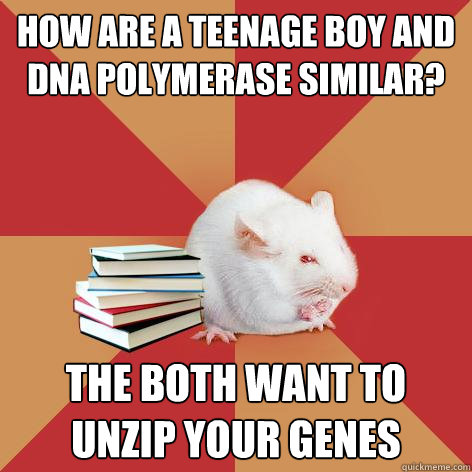 How are a teenage boy and DNA polymerase similar? THE BOTH WANT TO UNZIP YOUR GENES - How are a teenage boy and DNA polymerase similar? THE BOTH WANT TO UNZIP YOUR GENES  Science Major Mouse