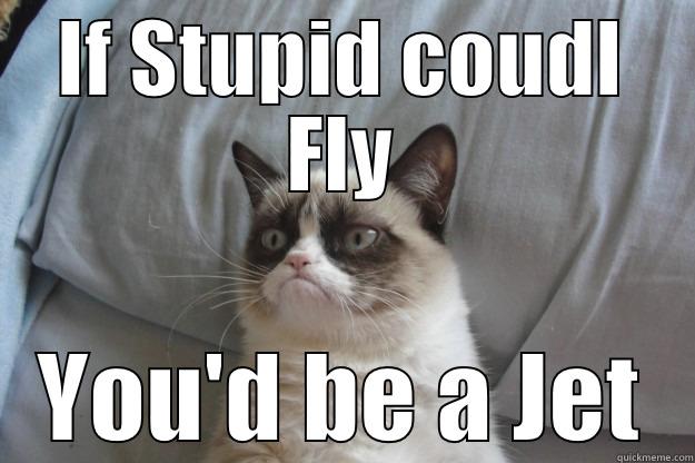 IF STUPID COUDL FLY YOU'D BE A JET Grumpy Cat