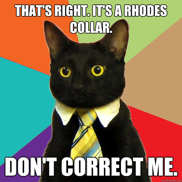 That's right. it's a rhodes collar. Don't correct me.  Business Cat