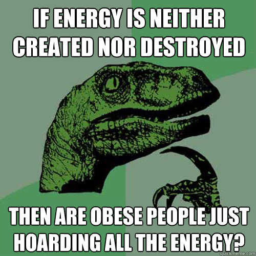 If energy is neither created nor destroyed then are obese people just hoarding all the energy?  Philosoraptor