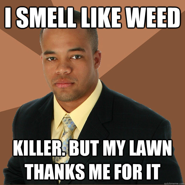 i smell like weed killer. BUT MY LAWN THANKS ME FOR IT  Successful Black Man