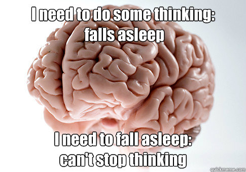 I need to do some thinking:
 falls asleep I need to fall asleep: 
can't stop thinking   Scumbag Brain